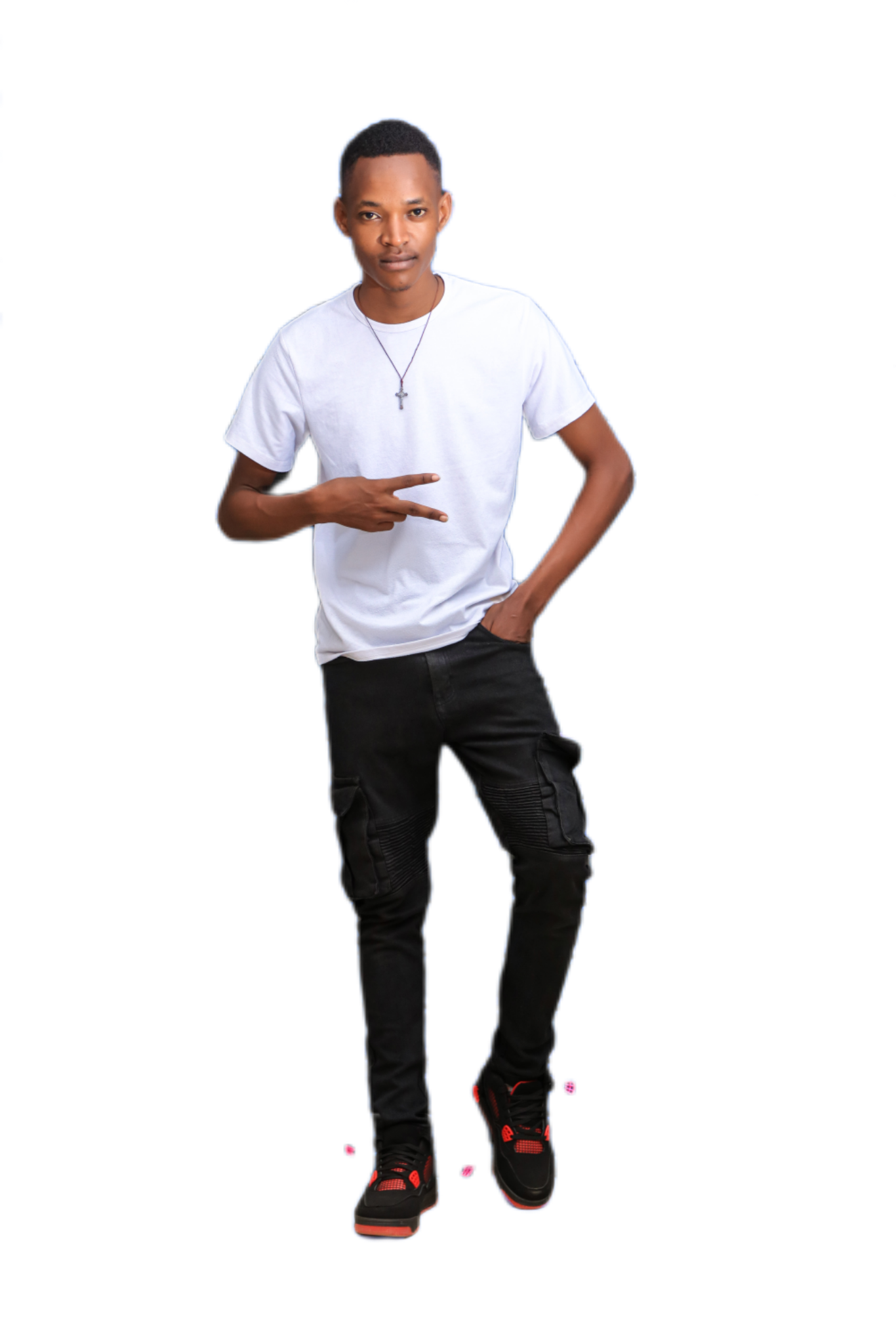 BILLANIZER
